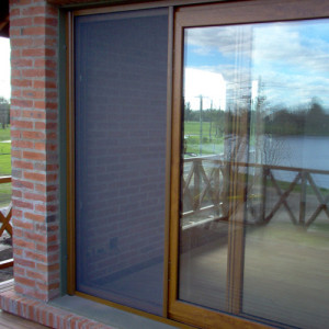 solset-mosquitero-cuad